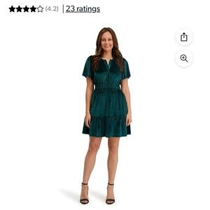 French Connection Green Velvet Dress NWT
